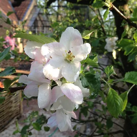 Jardin D'ocq 3*