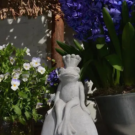 Jardin D'ocq Oda ve Kahvaltı 3*