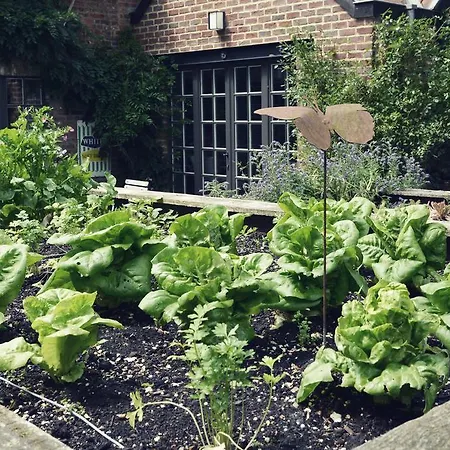 Jardin D'ocq Ellezelles